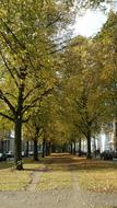Avenue Park