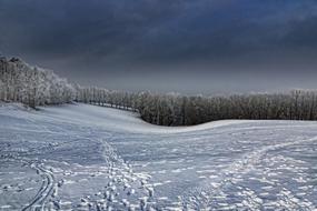 footprints in the snow in the field