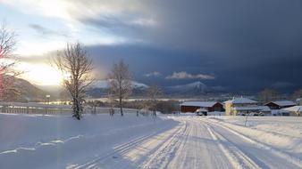 Winter Landscapes Landscape