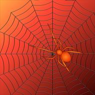 arachnid red spider on web illustration