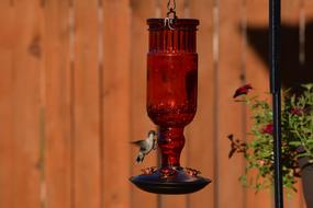 red lantern on the garden fence