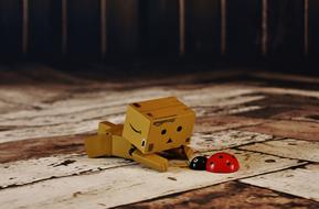 Danbo Lucky Ladybug Good Luck