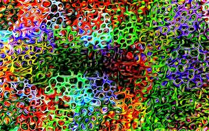 crass bunt color cheerful joy