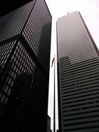 High Black And White Towers
