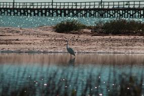 Gulf Bend Bay