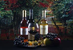 Wine bottles and Grapes