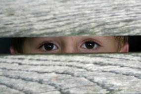 Eyes By Looking See