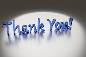 thank you thanks gratitude