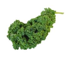 tasty healthy cabbage