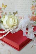 diary red vintage romantic