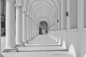Black and white photo of the beautiful architecture, with the columns, in Germany