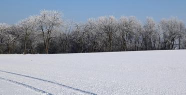 Wintry Iced Winter Mood Icy