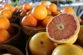 sweet delicious citrus fruits on sale