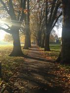 Autumn Path Walk In The Park Rays