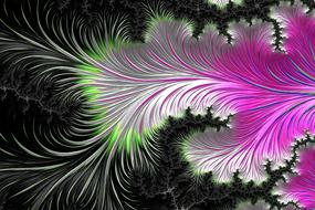 fractals feather black colorful drawing