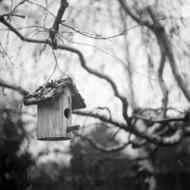 wooden tree house for birds