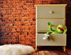 kermet frog in the closet