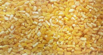 Grains Yellow