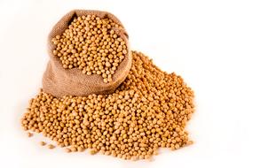 Soybeans Plants Seeds
