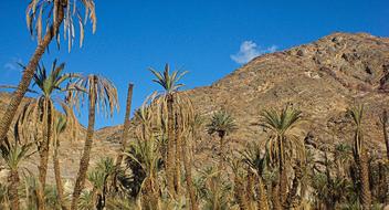 Egypt Mountains Rock