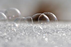 Soap Bubbles Frozen Frost