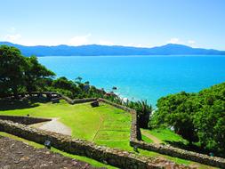 green grass with ocean