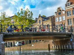 people on the bridge in amsterdam