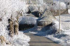 Landscape Winter Hoarfrost