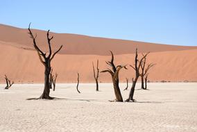 Dead Vlei Namibia Desert
