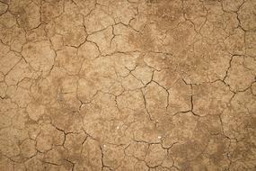 Crack Dry Land