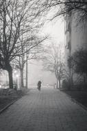 Black and white photo with the person, on the beautiful walkway in smog, among the trees and building