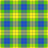 spring plaid yellow