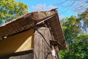 amazing Japanese Traditional House in a forest