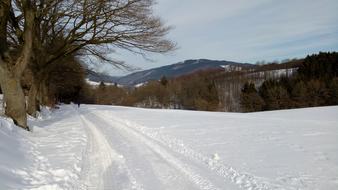 snowy winter road with trees