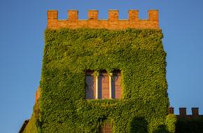 Tuscany Italy Castello Di Ginori querceto