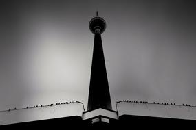 Berlin TV tower in black and white