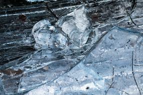 Ice Floe Rink
