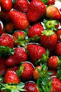 red delicious berry