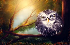 owl bird forest fantastic drawing