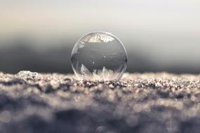 soap bubble in the snow