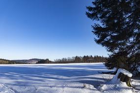 wintry meadow nature