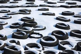 Mature Silage Winter