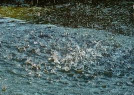 Fountain Water Games