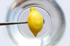 lemon citrus colorful macro