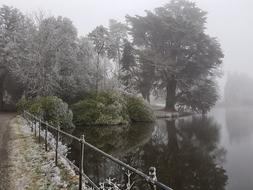 Winter Fog Landscape