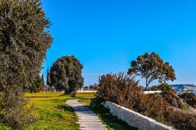 Cyprus Governor'S Beach Coastal