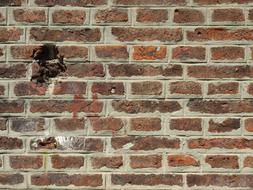 Bricks Wall Red