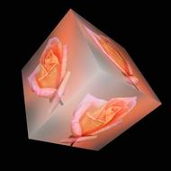 cube flower rose orange 3dw%C3%BCrfel