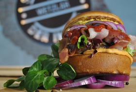 cheeseburger with onions