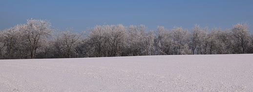 Iced Winter Mood view